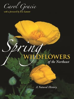 cover image of Spring Wildflowers of the Northeast